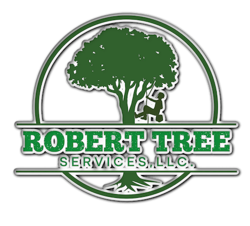 Robert logo white