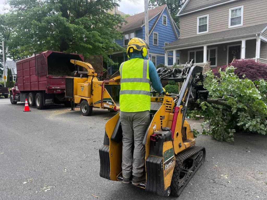 Wood Chipping & Disposal